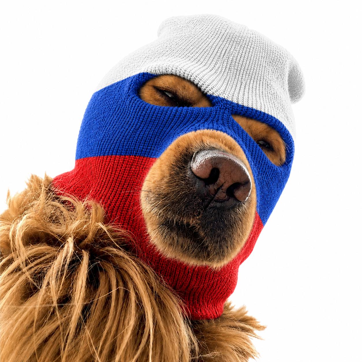 Ski Mask Dog — Russia