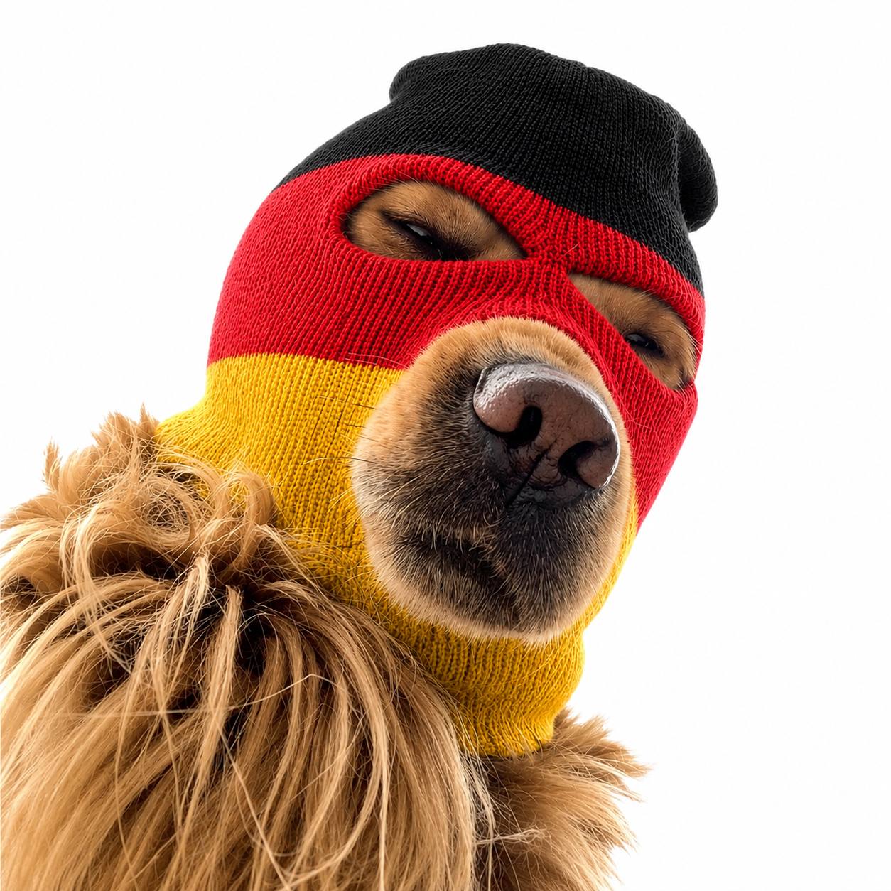 Ski Mask Dog — Germany