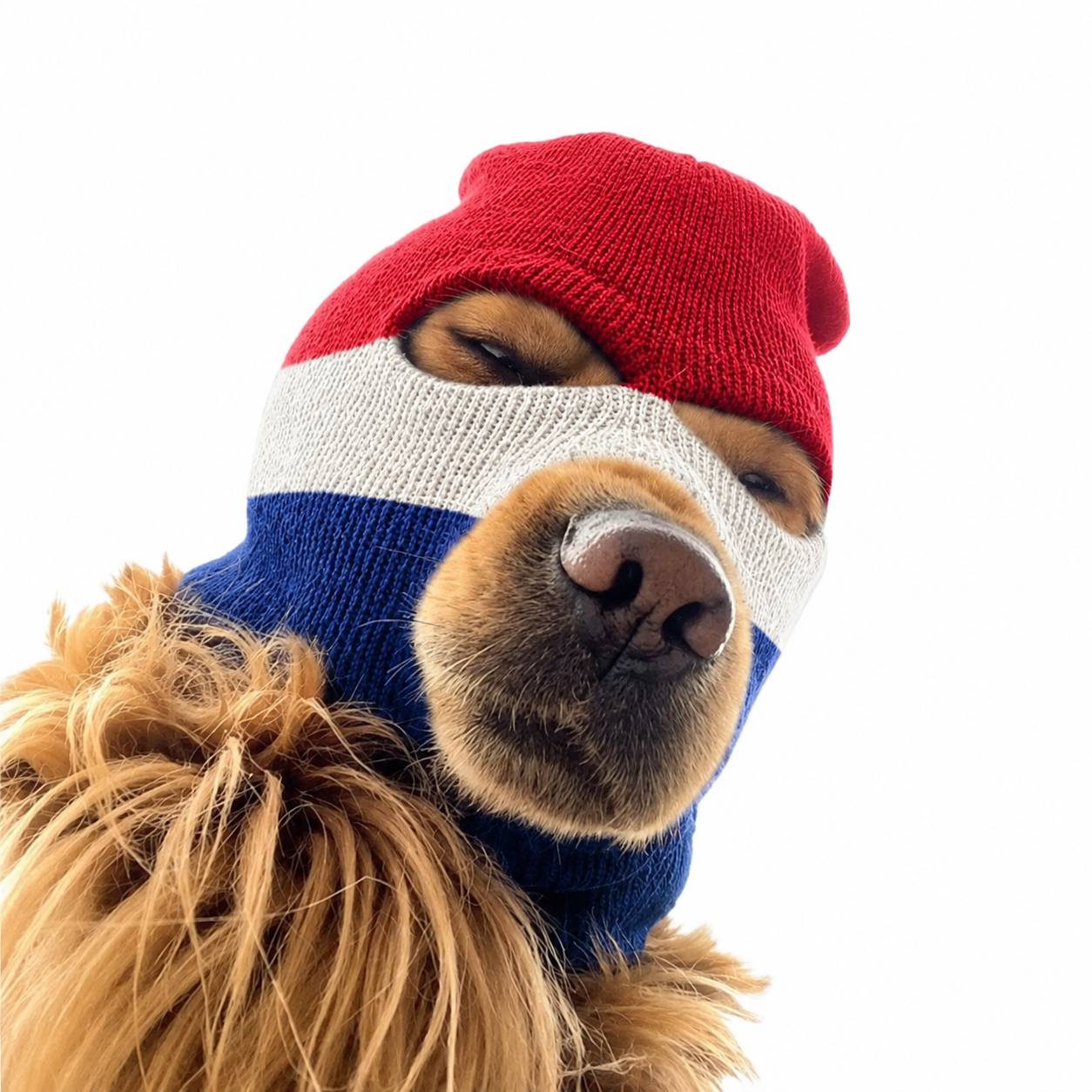 Ski Mask Dog — Dutch