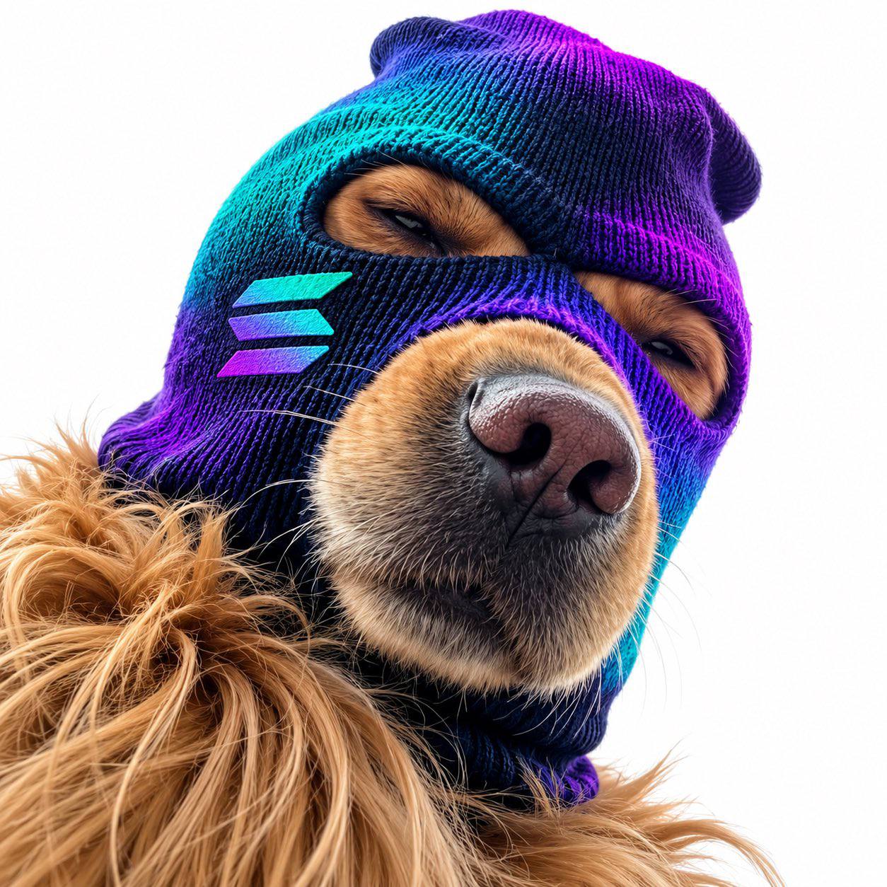 Ski Mask Dog — Solana