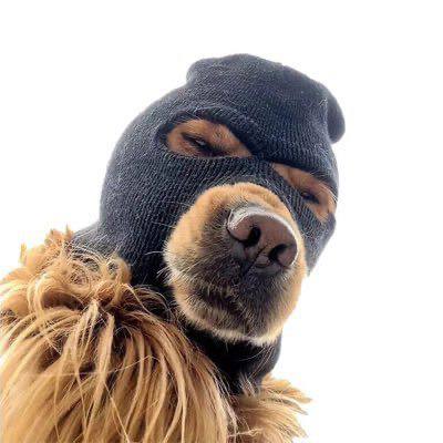 Ski Mask Dog — Classic
